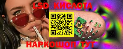 прущие грибы Ирбит