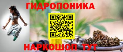прущие грибы Ирбит
