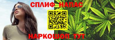 прущие грибы Ирбит