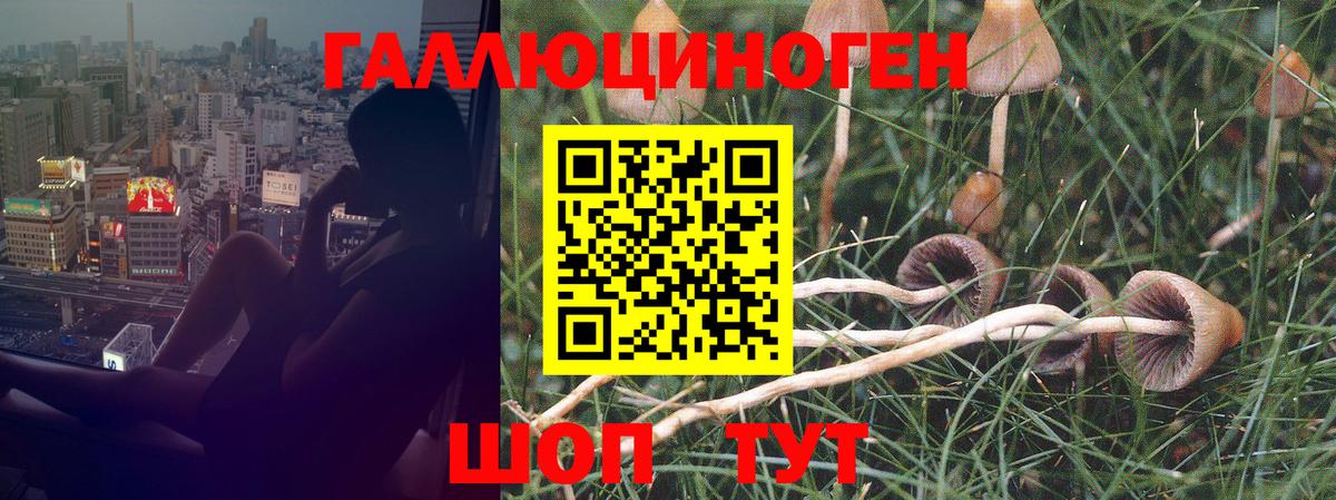 Псилоцибиновые грибы мухоморы  Галлюциногенные грибы MAGIC MUSHROOMS  Вход с VPN  Людиново 